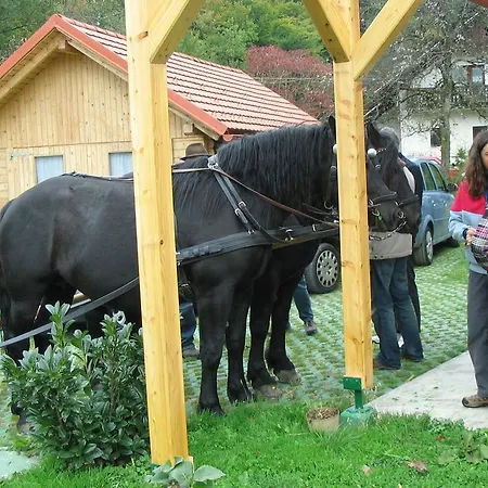 Bed & Breakfast Sunny House
