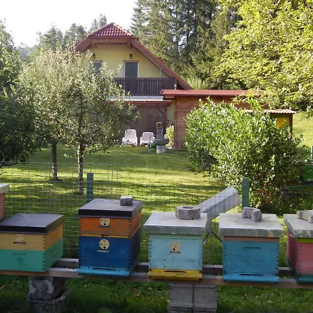 Sunny Holiday House