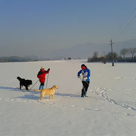 Sunny Holiday House 2* Ljubno