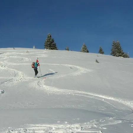 Sunny House Bed & Breakfast