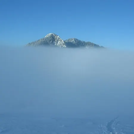 Sunny House Bed & Breakfast 2*