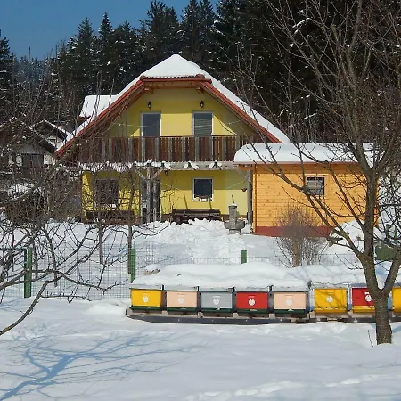 Sunny Holiday House