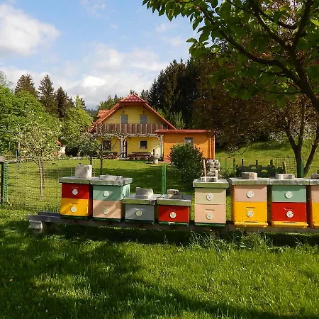 Sunny House 2* Ljubno