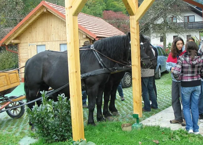 Nočitev z zajtrkom Sunny House