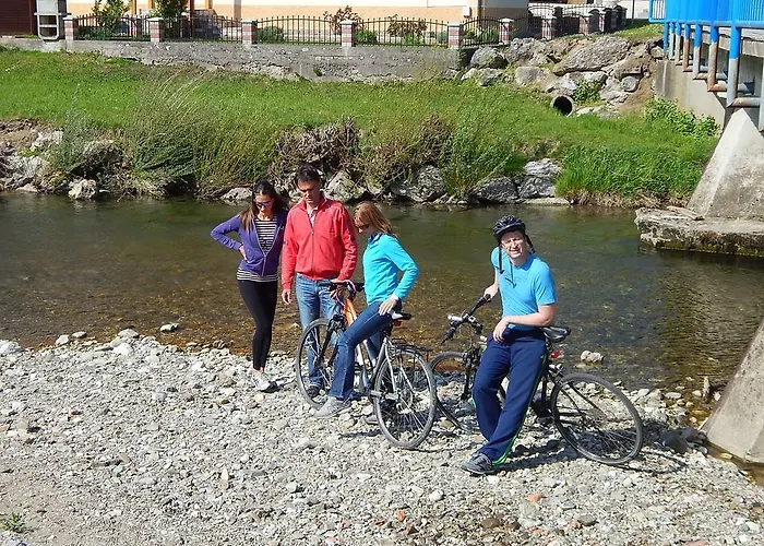 Sunny House Bed & Breakfast