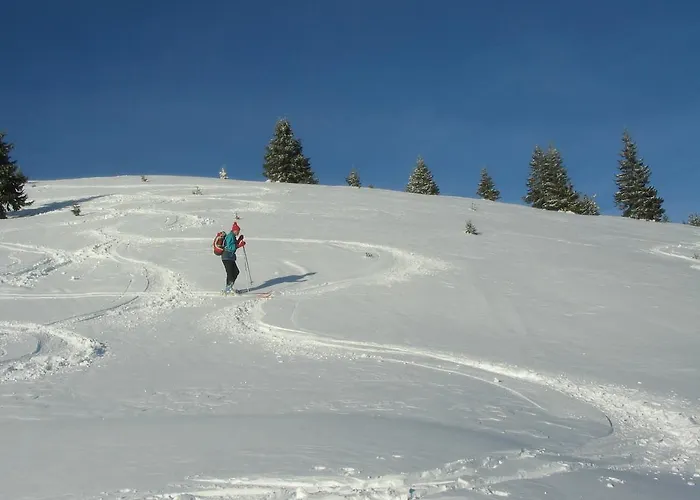 Sunny House Bed & Breakfast