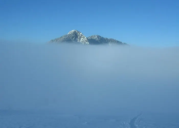 Sunny House Bed & Breakfast 2*